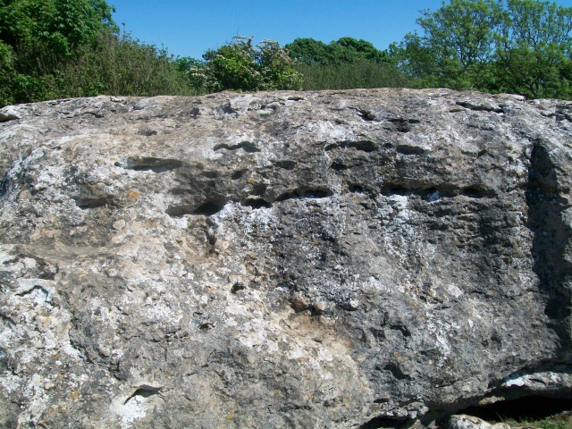 Lligwy Burial Chamber